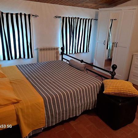Pepe House Villa Capannori Bagian luar foto