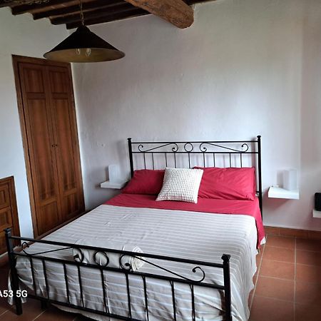 Pepe House Villa Capannori Bagian luar foto